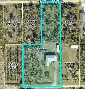 Lot layout!