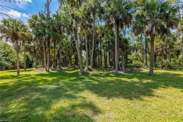 View of backyard