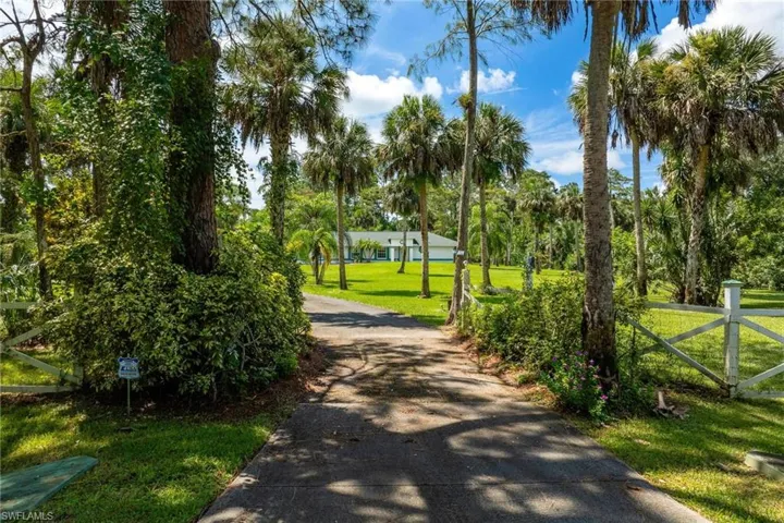 View from front of property with winding driveway lined with palm trees.