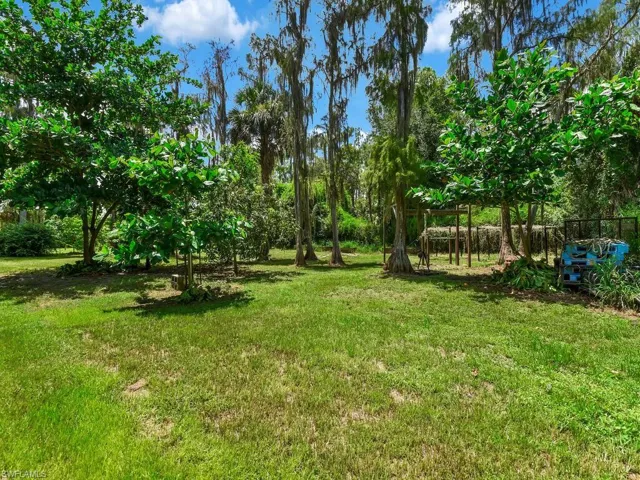 View of grassy yard with view of wooded area
