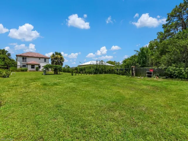 View of grassy yard