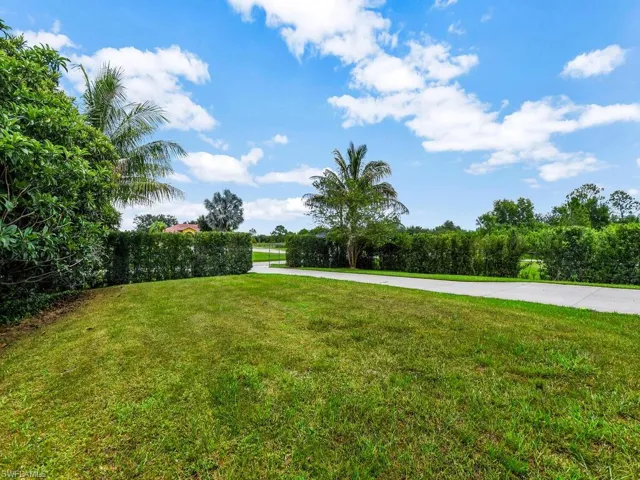 View of grassy yard