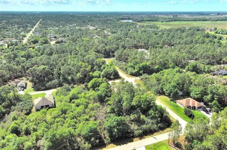 Drone / aerial view of a forest