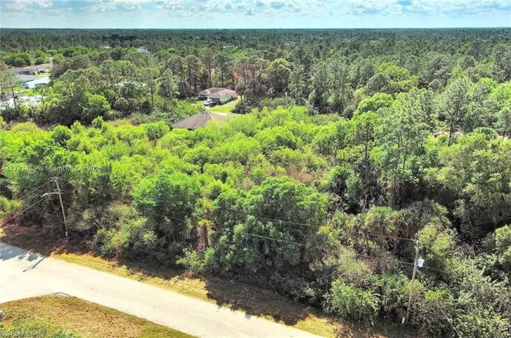 Bird's eye view of a heavily wooded area