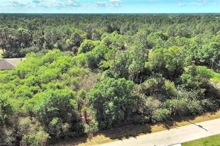 Aerial view of a heavily wooded area