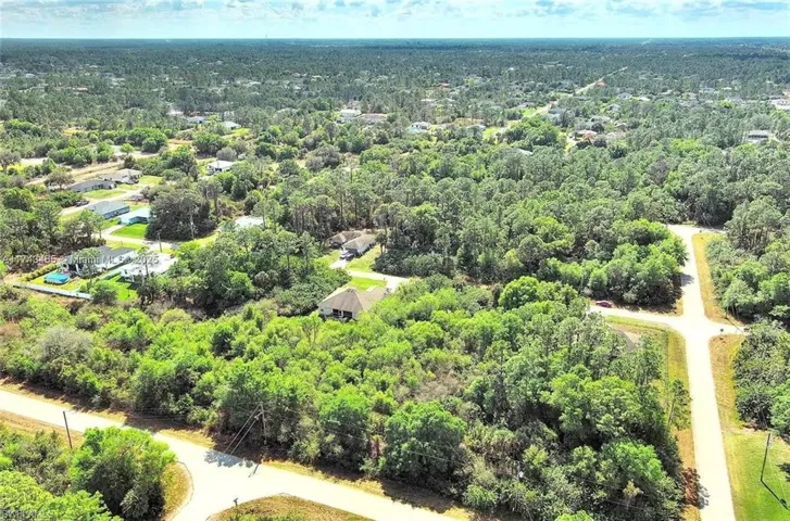 Bird's eye view of a forest