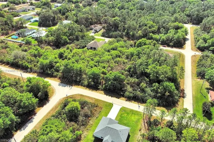 Drone / aerial view of a forest