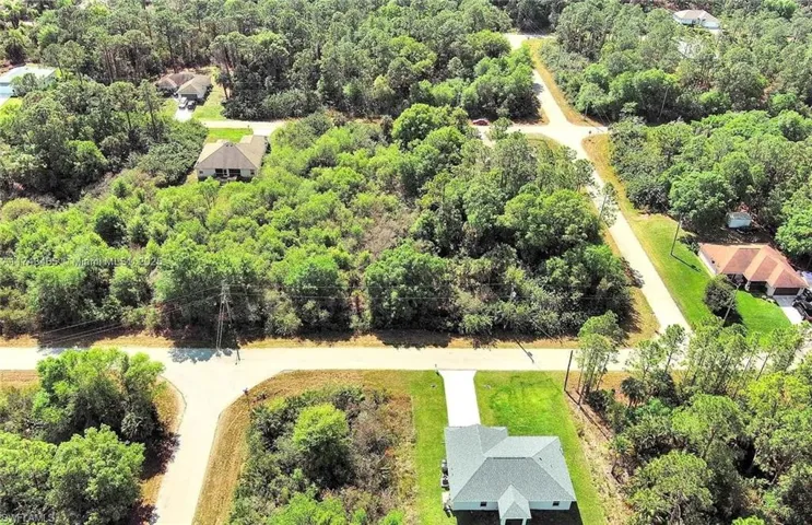 Bird's eye view of a heavily wooded area