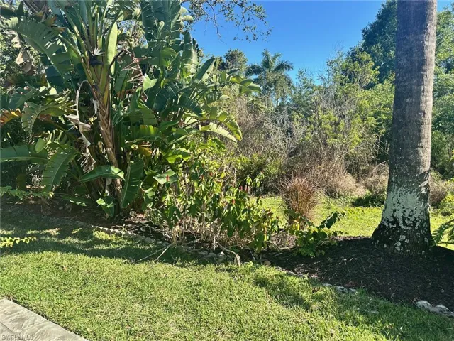 View of grassy yard