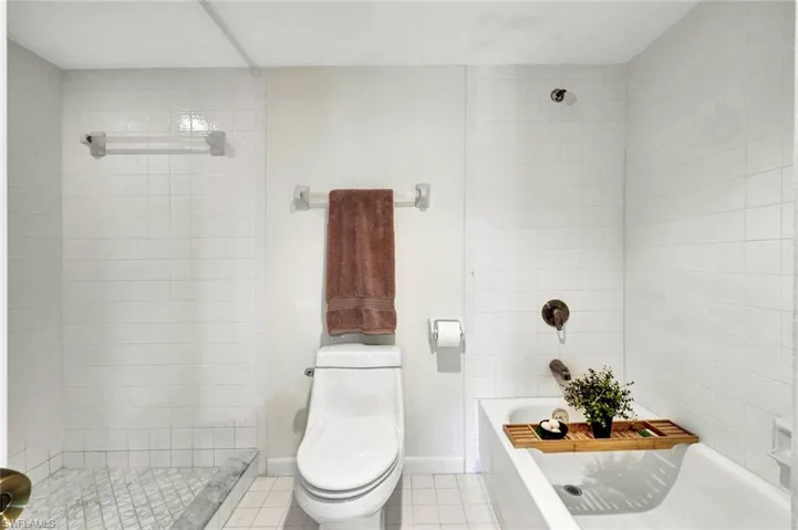 Shown with Options- Step In Shower- or Tub/Shower Combination