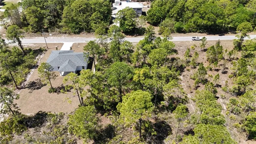 Aerial view of a tree filled landscape