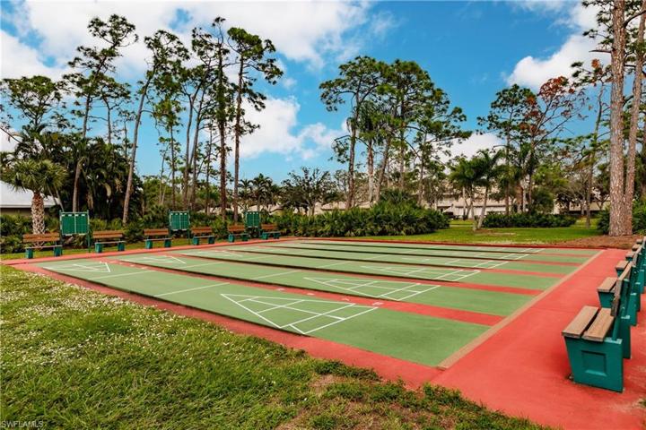 Shuffleboard