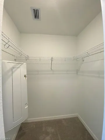 Spacious closet featuring dark carpet