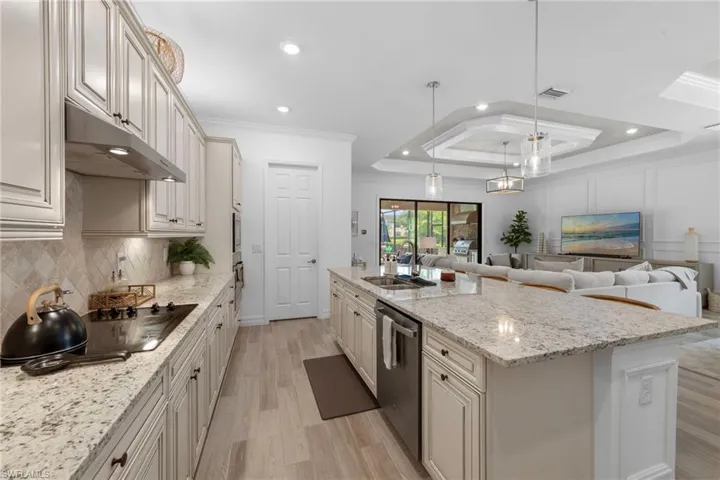 Kitchen with a raised ceiling, light stone countertops, light wood finished floors, a kitchen island with sink, and ornamental molding