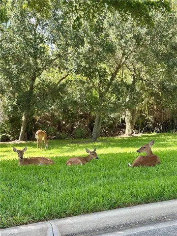 20561 Larino Loop, Estero, Florida 33928