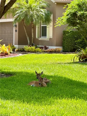 20561 Larino Loop, Estero, Florida 33928
