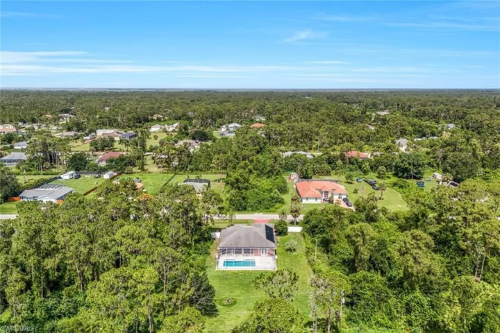 Aerial view of a forest