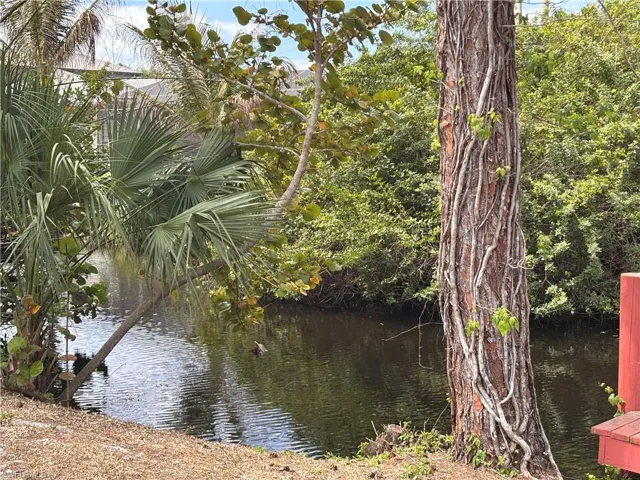 The property offers a waterfront location with lush trees and foliage, including palm trees and a large tree with vines