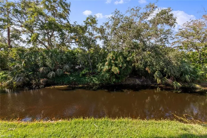 lovely little canal with plenty of Florida Birds