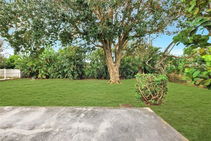 View of backyard with large mature shade tree and a patio