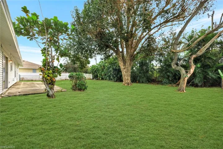 View of backyard with large mature shade