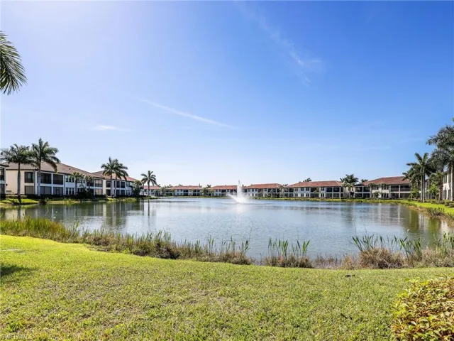 Lake View With The Fountain