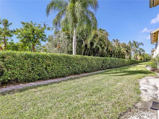 View of grassy yard