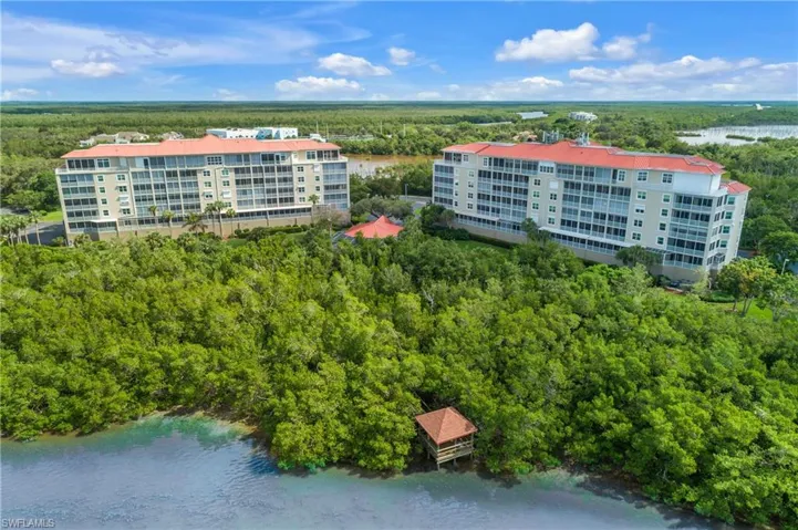 Drone / aerial view featuring a view of trees and a water view