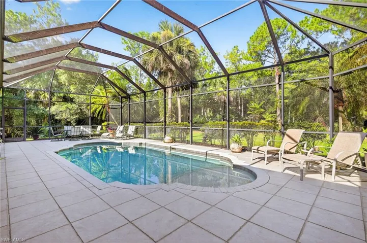 Swimming pool featuring a patio area and a lanai