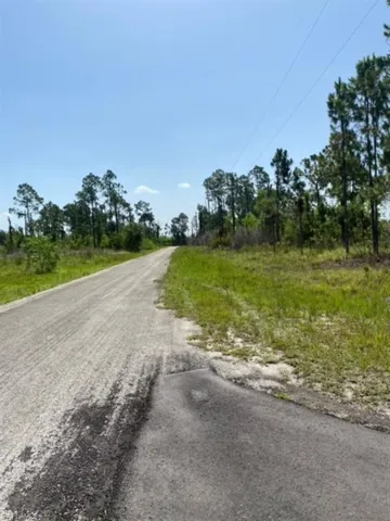 1246 Edgewood St E, Lehigh Acres Fl 33974