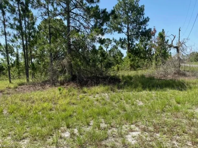 1246 Edgewood St E, Lehigh Acres Fl 33974