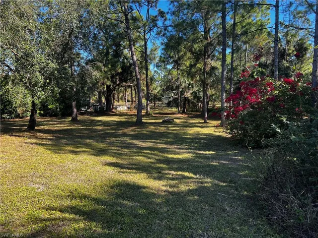 View of green lawn with view of wooded area