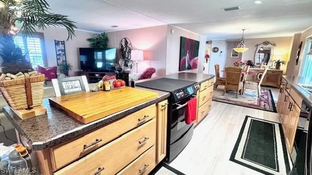 14590 Paul Revere Loop, North Fort Myers, Florida 33917