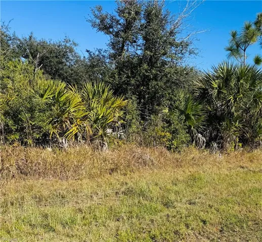 View of undeveloped land