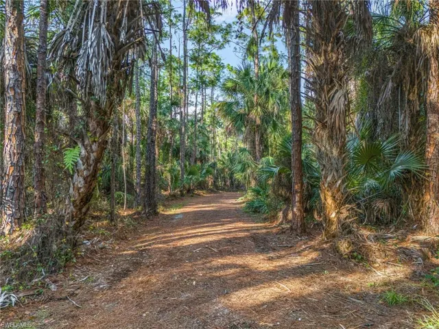 View of private driveway