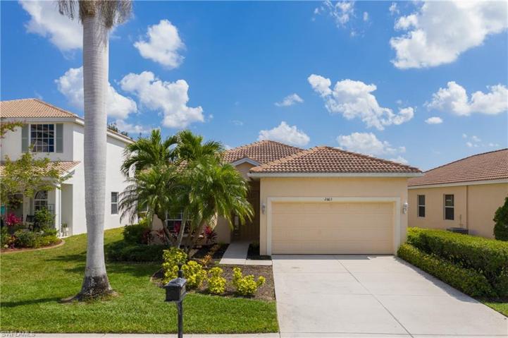 maintenance free lawn care