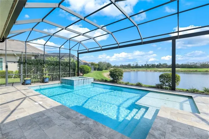 Stunning Pool, complete with sun shelf and elevated spa!