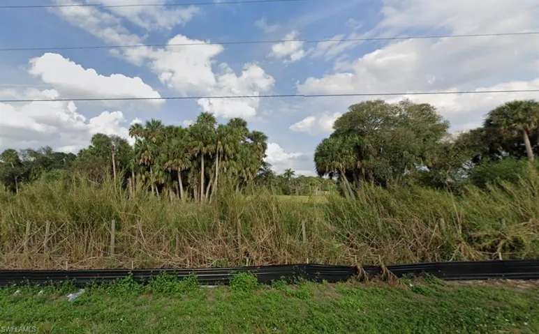 View of local wilderness