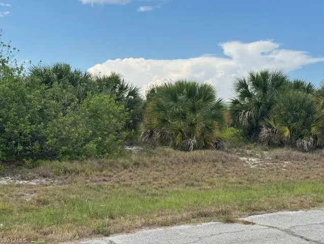 318  Kansas  TER, Labelle, FL 33935