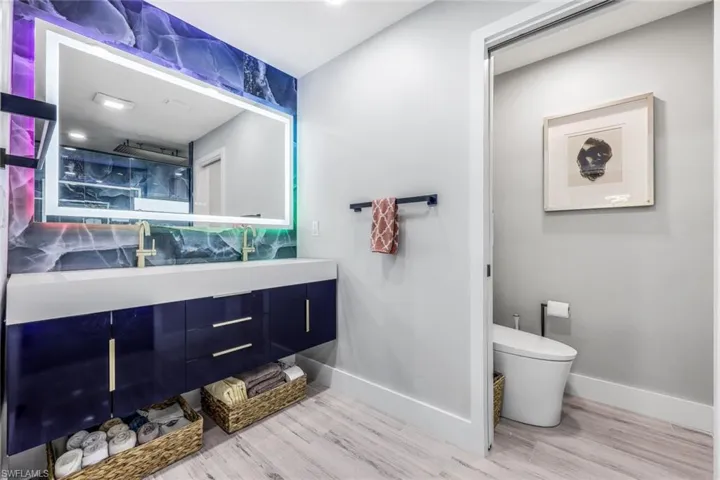 Bathroom with wood-type flooring, vanity, and toilet