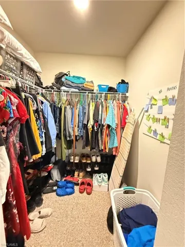 Walk in closet with carpet