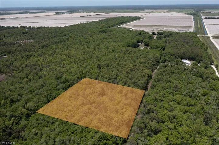 Expansive wooded acreage featuring dense tree cover