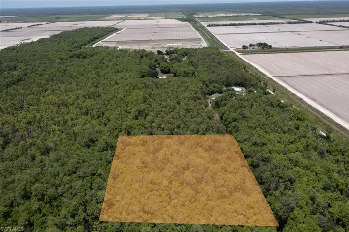 Expansive wooded acreage featuring dense tree coverage