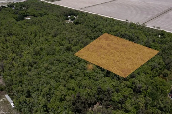 Expansive wooded acreage featuring a highlighted parcel, surrounded by dense natural foliage