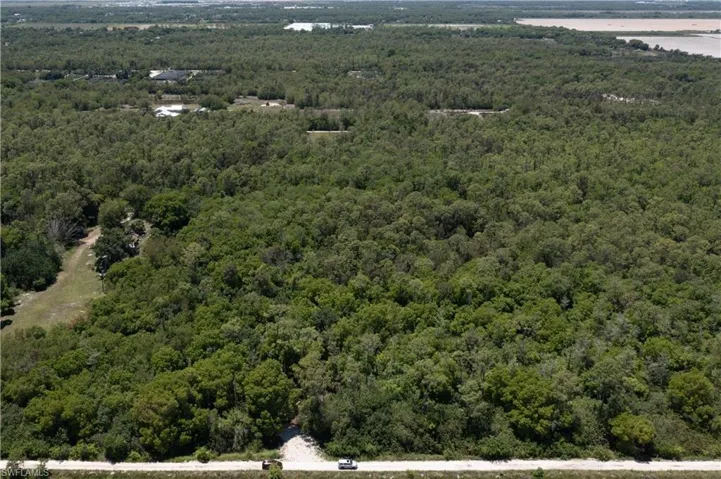 Expansive wooded acreage featuring dense tree cover and a visible access road