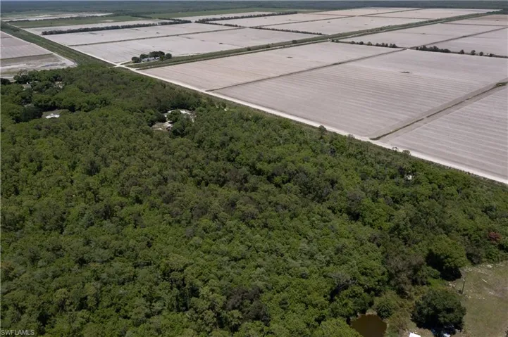 Expansive acreage featuring dense natural foliage and a visible pond