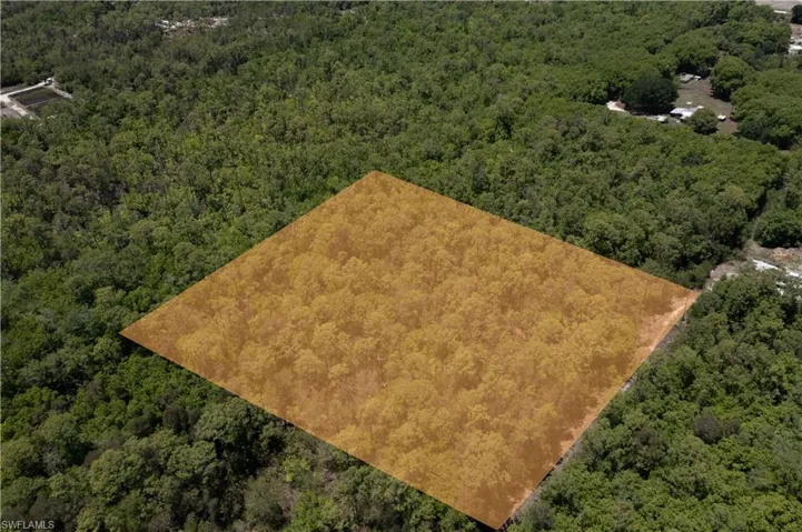 Expansive land parcel blanketed by mature trees