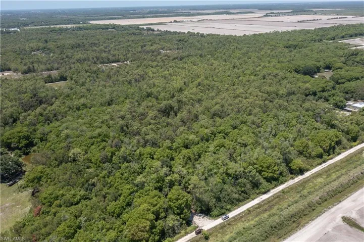 Expansive undeveloped land featuring dense tree cover and a visible perimeter road