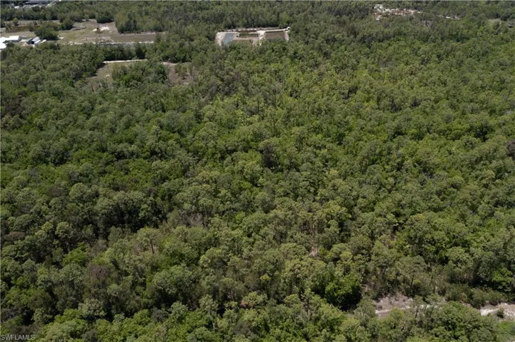 Expansive wooded land featuring mature trees and a natural landscape