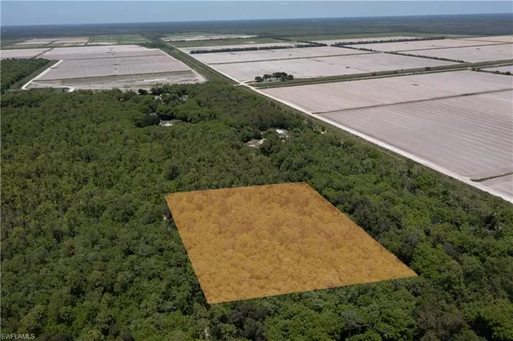 Expansive undeveloped land parcel framed by dense tree cover